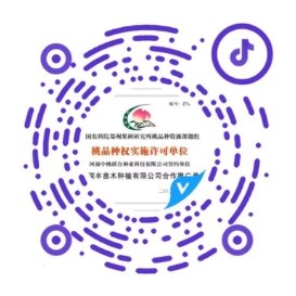 阿裏巴巴